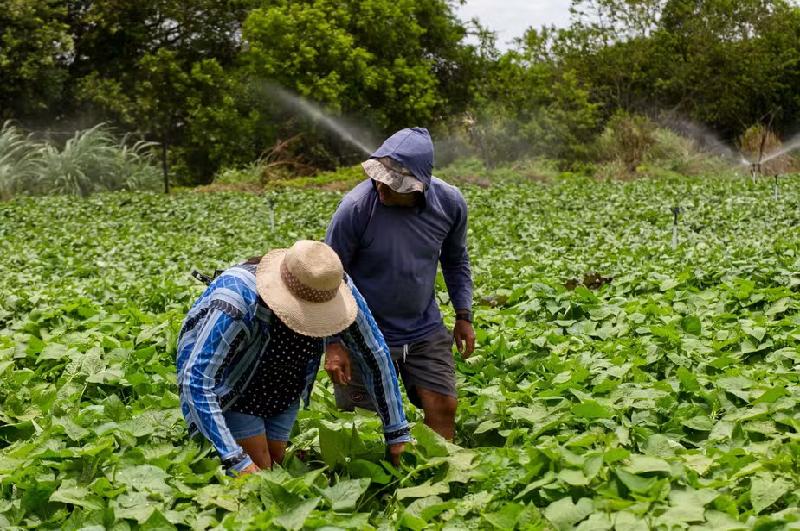 Veja como foi o primeiro encontro coletivo do ALI Rural, programa do Sebrae Franca
