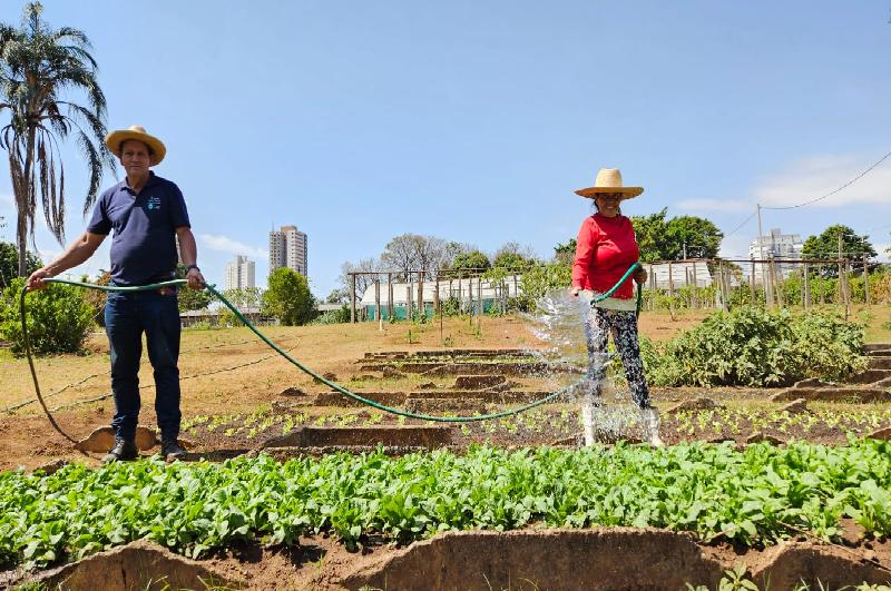 Oficina Agrícola do Allan Kardec completa sete anos vendendo hortaliças em Franca